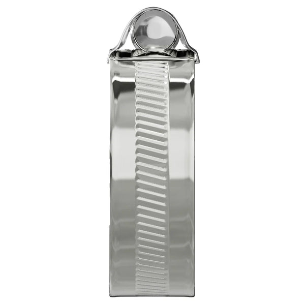 Worm Drive Hose Clip