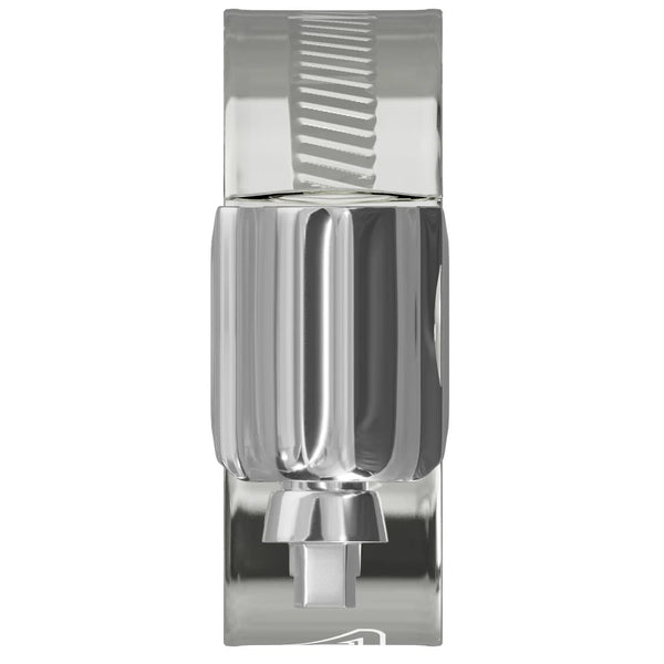 Worm Drive Hose Clip