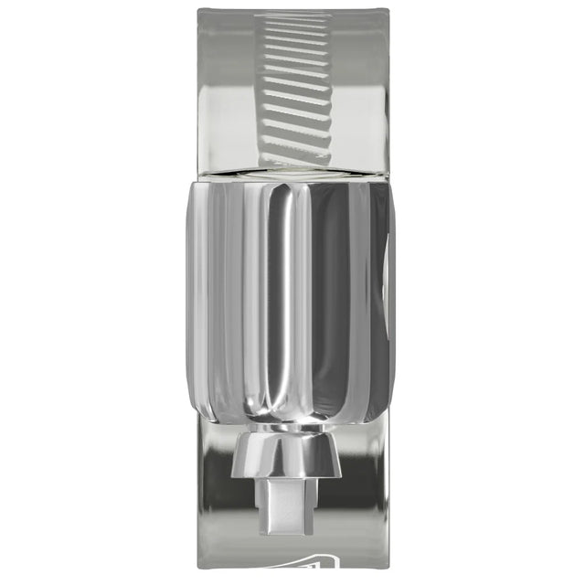 Worm Drive Hose Clip